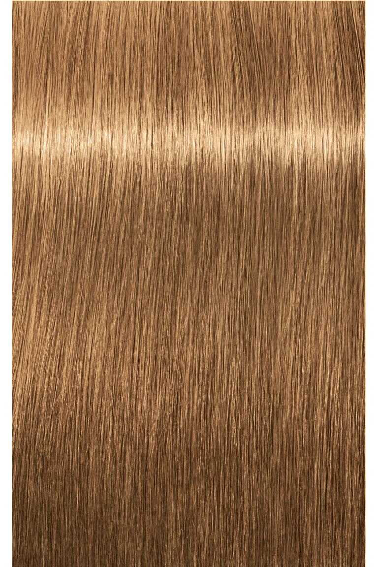 IGORA ROYAL Absolutes Permanent Color - 60ml