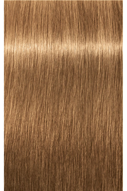 IGORA ROYAL Absolutes Permanent Color - 60ml