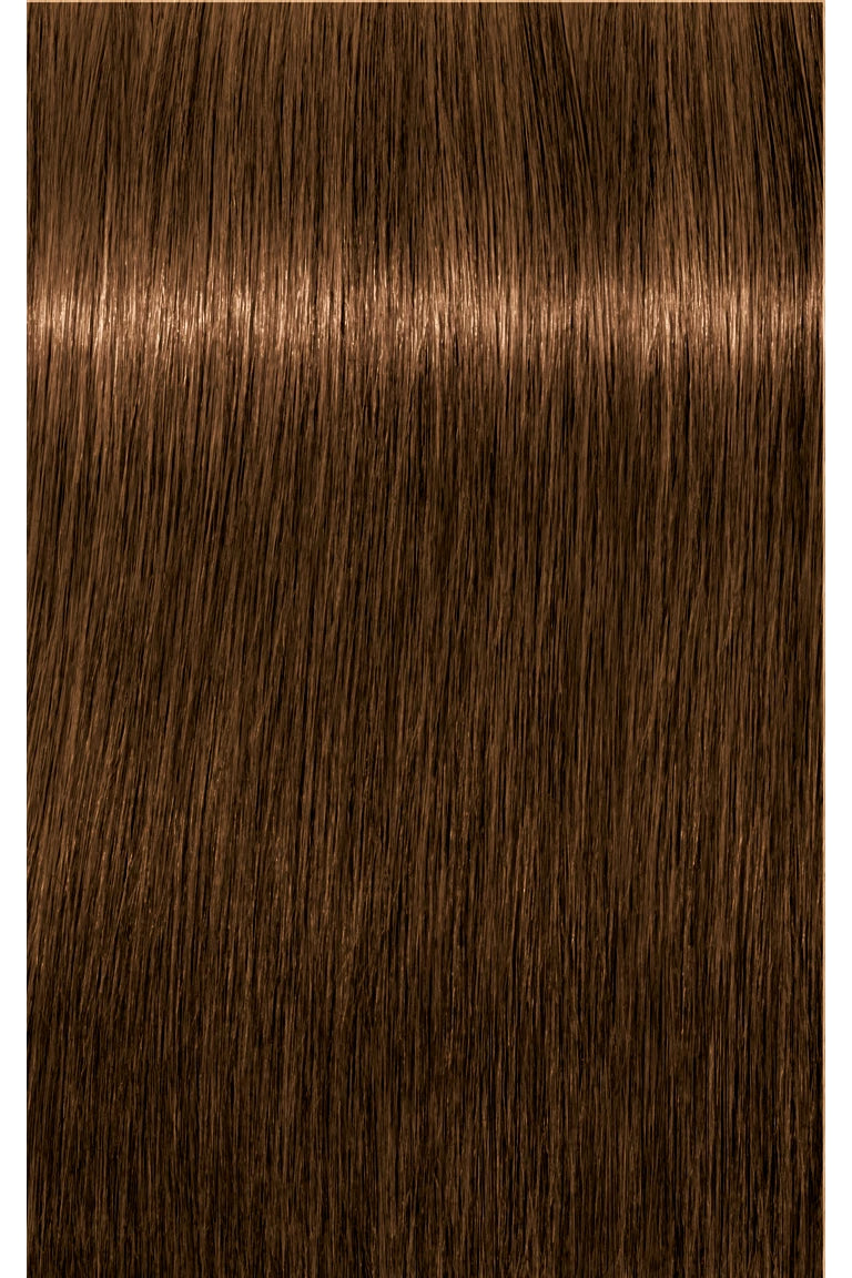 IGORA ROYAL Absolutes Permanent Color - 60ml