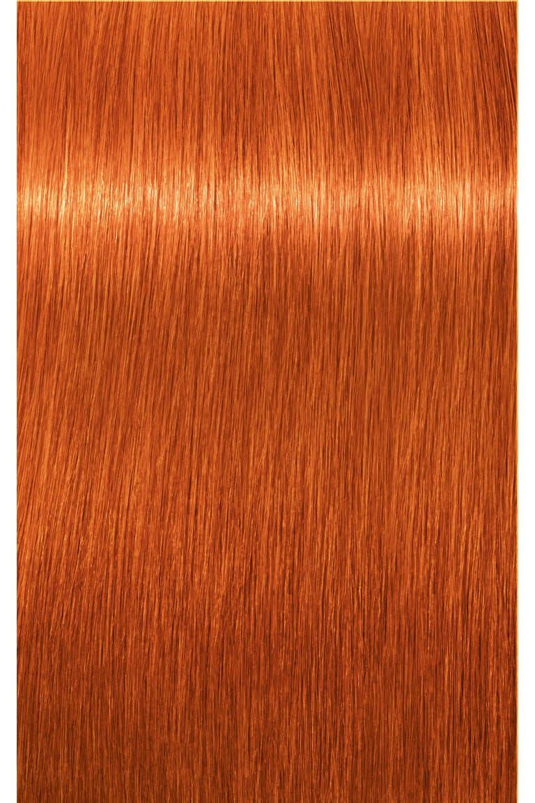 IGORA Royal Permanent Hair Color - 60 ml