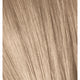 9-12 Extra Light Blonde Cendré Ash