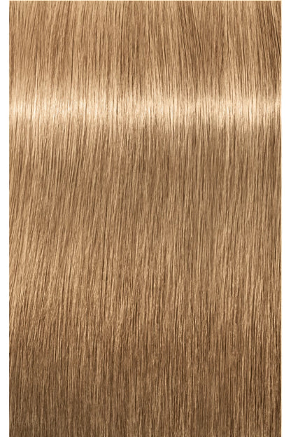 IGORA ROYAL Absolutes Permanent Color - 60ml