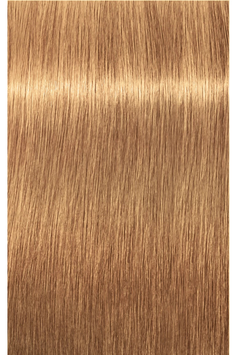 IGORA ROYAL Absolutes Permanent Color - 60ml