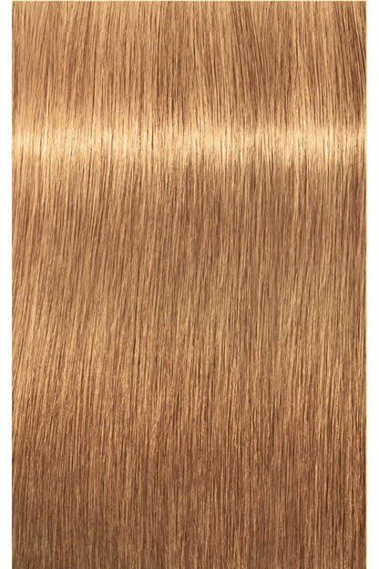 IGORA ROYAL Absolutes Permanent Color - 60ml