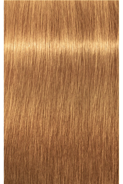 IGORA ROYAL Absolutes Permanent Color - 60ml