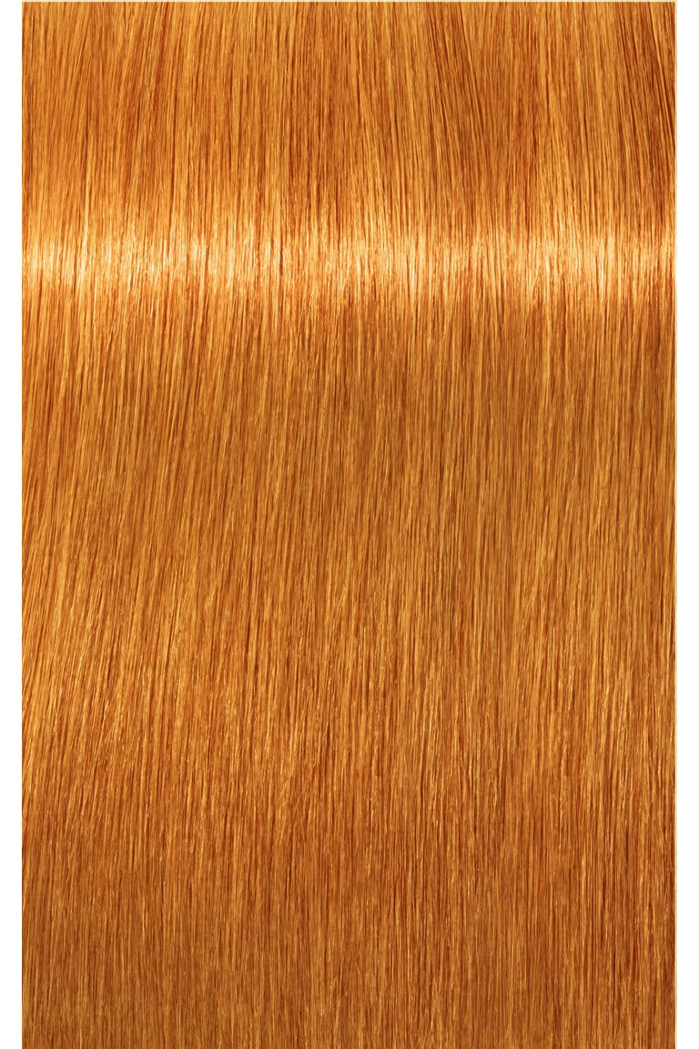 IGORA Royal Permanent Hair Color - 60 ml