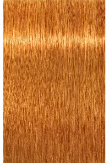 IGORA Royal Permanent Hair Color - 60 ml