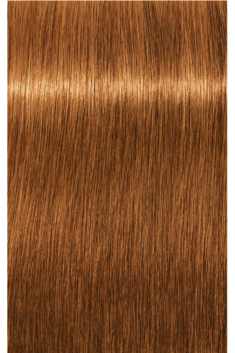 IGORA ZERO AMM Ammonia-Free Permanent Hair Color - 60ml