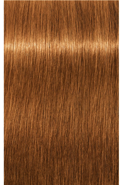 IGORA ZERO AMM Ammonia-Free Permanent Hair Color - 60ml