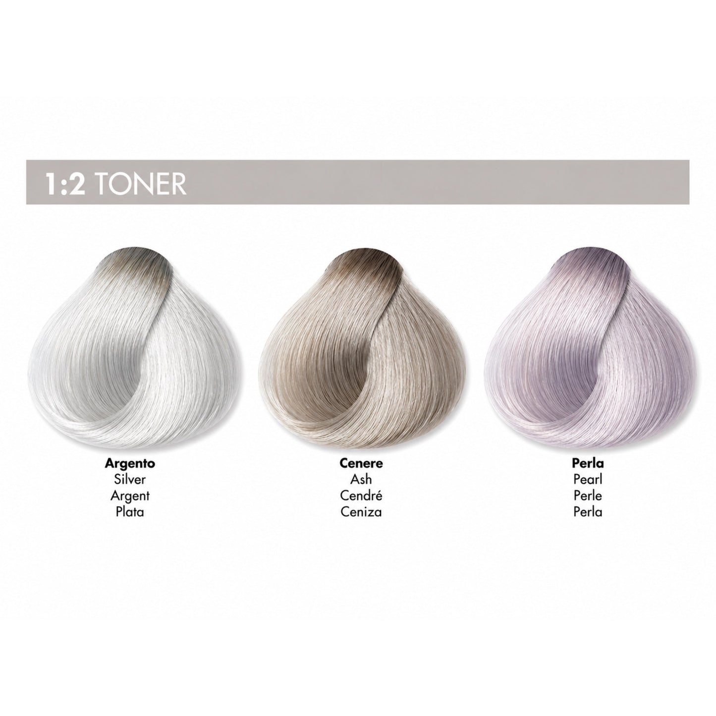 DIKSON COLOR Toners Silver