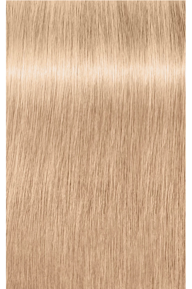 IGORA ROYAL Permanent Highlift Color- 60ml