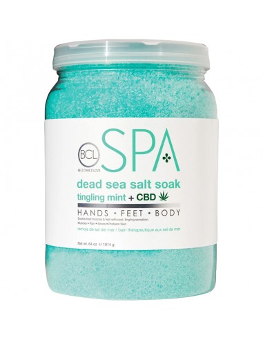 BCLspa - Tingling Mint + CBD Dead Sea Salt Soak - 1814g