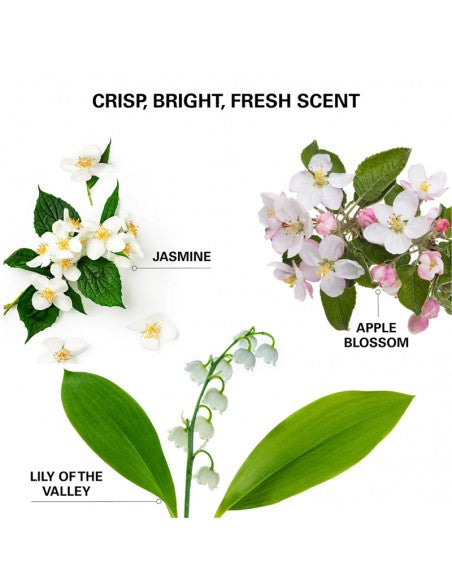 Color WOW - Insta-Wow Advanced Dry Shampoo - 200ml