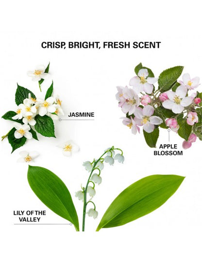 Color WOW - Insta-Wow Advanced Dry Shampoo - 200ml