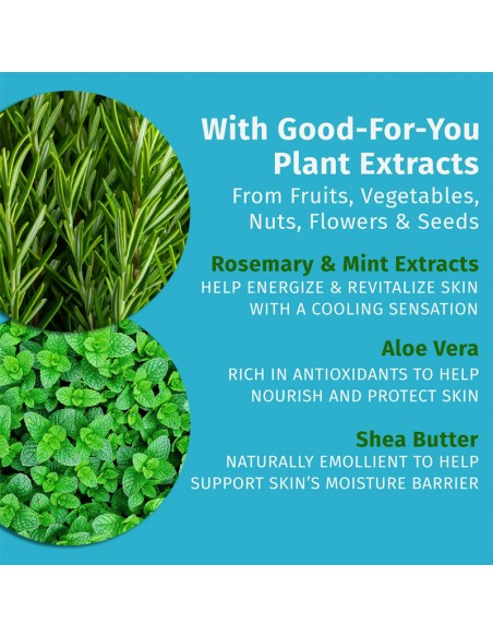 Hempz - Herbal Body Moisturizer - Rosemary & Mint - 500ml