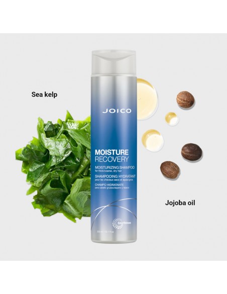Joico - Moisture Recovery - Moisturizing Shampoo - 300ml