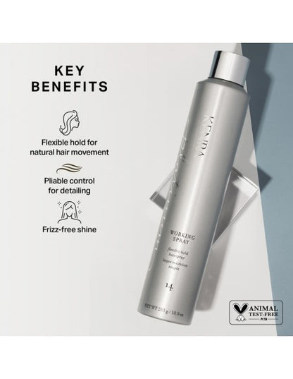 Kenra Platinum - Working Spray 14 - 283g