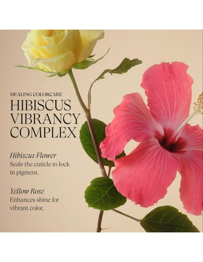 LANZA Healing ColorCare - Purple Shampoo - 950ml