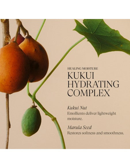 LANZA Healing Moisture - Conditioner - 950ml