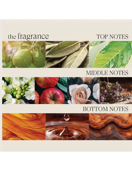 LANZA Healing Style - Dramatic Effects - 350ml