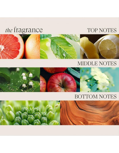 LANZA Healing Volume - Final Effects - Finishing Hair Spray - 350ml