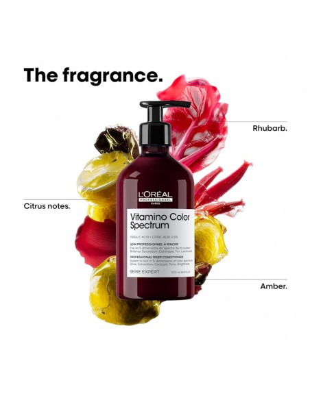 LOREAL - Vitamino Color Spectrum - Deep Conditioner - 500ml