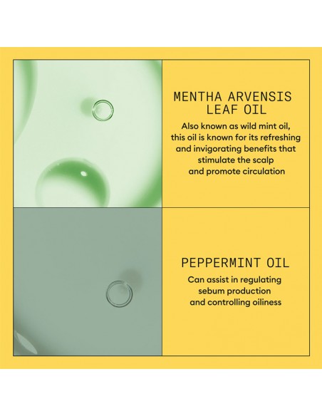 Nioxin - System 1 - Scalp + Hair Conditioner - 300ml