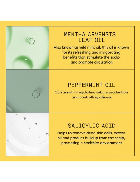 Nioxin - System 1 - Scalp + Hair Shampoo - 500ml