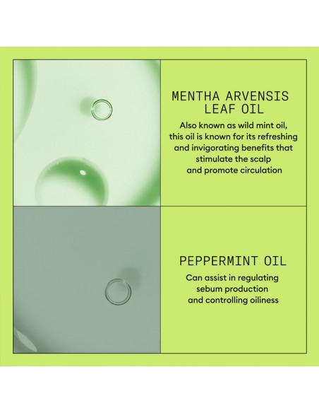 Nioxin - System 2 - Scalp + Hair Conditioner - 300ml