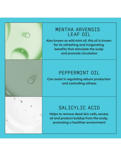 Nioxin - System 3 - Litre Duo