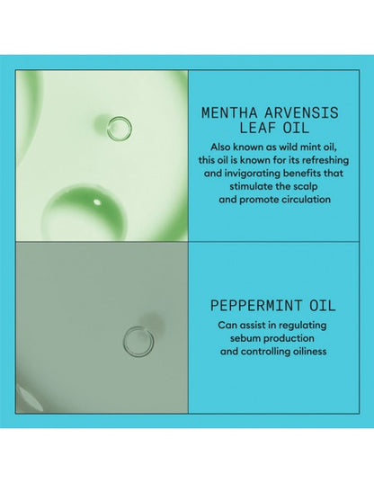 Nioxin - System 3 - Scalp + Hair Conditioner - 500ml