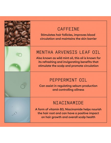 Nioxin - System 4 Kit