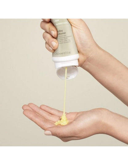 Paul Mitchell - Clean Beauty - Everyday Conditioner - 250ml