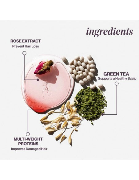 Pureology - Hydrate - Shampoo - 1000ml