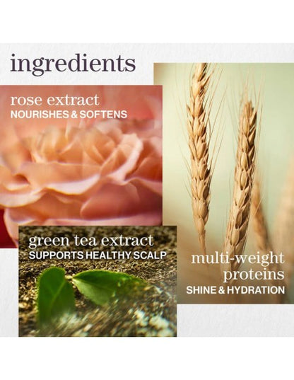 Pureology - Hydrate - Shampoo - 266ml